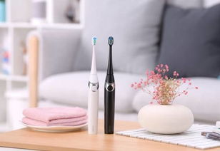 電動牙刷的全面指南 好處、品牌推薦與清潔器具選擇